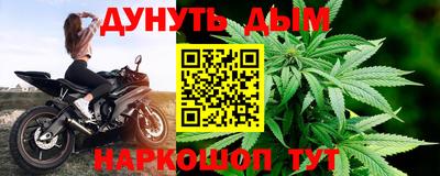 прущие грибы Бийск