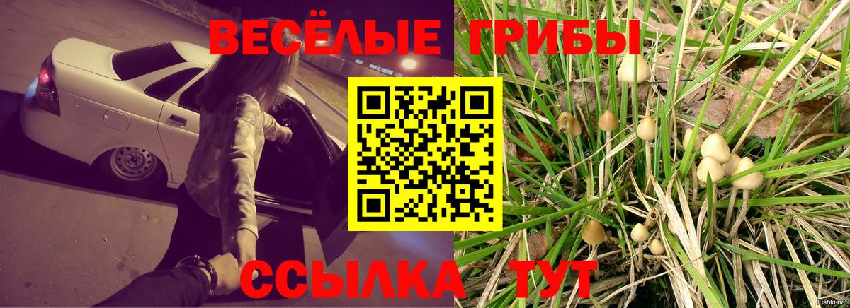 Псилоцибиновые грибы мухоморы Вязьма