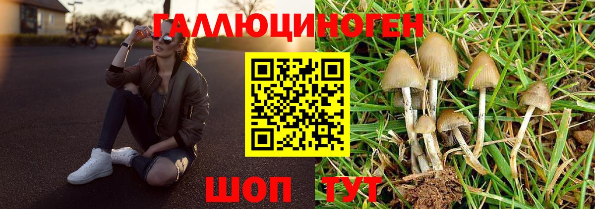 Вязьма  Галлюциногенные грибы ЛСД  Вход с VPN  Галлюциногенные грибы прущие грибы 